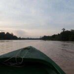 Sandakan: Sukau Rainforest Wildlife Journey & Dawn Cruises - Who Would Love This Tour?