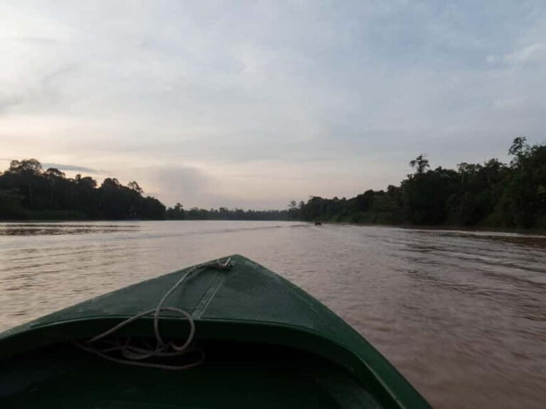 Sandakan: Sukau Rainforest Wildlife Journey & Dawn Cruises - Who Would Love This Tour?