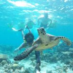 Sandbank Snorkeling and Sunset Cruise - The Sum Up