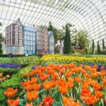 SandsSkyPark+GardensbytheBay(FlowerDome&Jurassic World)Transfers - A Closer Look at the Tour Experience