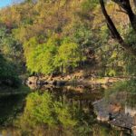 Sanjay Gandhi National Park and Kanheri Caves Day Private Tour - The Sum Up