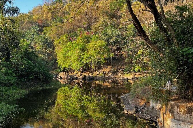 Sanjay Gandhi National Park and Kanheri Caves Day Private Tour - The Sum Up