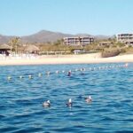 Santa Maria and Chileno Bay Snorkel Adventure Los Cabos - Authentic Experiences and Insights from Travelers