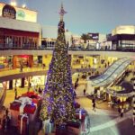 Santa Monica Holiday Donut Adventure and Walking Food Tour - Who Will Love This Tour?