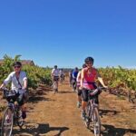 Santa Rosa Bike & Wine Tour - Practicalities & Tips