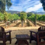 Santa Rosa North Sonoma County Small Group Winery Tour - Final Thoughts