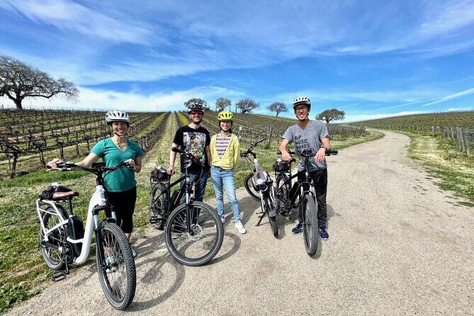 Santa Ynez Valley Biking and Wine Tasting Tour - The Sum Up