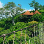 Sanya: Yalong Bay Tropical Forest Ticket and Tour Car - What to Pack and What to Know