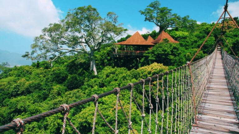 Sanya: Yalong Bay Tropical Forest Ticket and Tour Car - What to Pack and What to Know