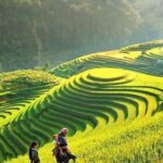 Sapa 1-Day trekking to Lao Chai-Ta van village - Final Thoughts