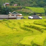 Sapa 2 Day 1 night With 3Star Hotel Trekking Cat Cat - Fanxifang - FAQ