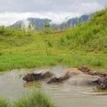 SAPA 2 Day trekking & 1 night Homestay with LOCAL PEOPLE - Why This Tour Offers Great Value