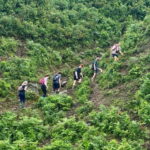 Sapa 2-Day Trekking Tour  Explore Villages & Scenic Trails - The Heart of the Experience: An In-Depth Look