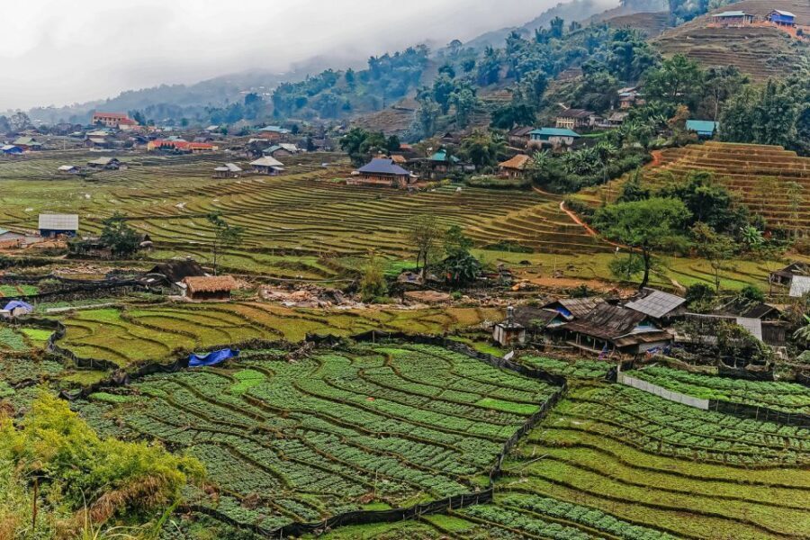 Sapa: 3-Day, 3-Night Trek and Hotel with Overnight Train - Day 1: Exploring Sapa and Sin Chai Village