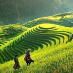 Sapa 3 Day Trekking with 2 Nights Homestay - A Closer Look at the Sapa 3-Day Trekking Experience