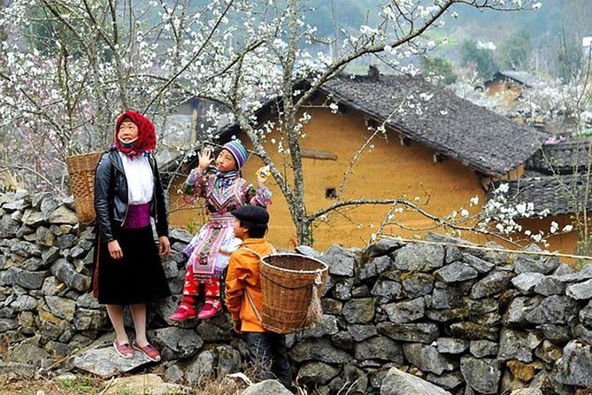 Sapa 3 Days 2 Nights Trekking Tour From Hanoi (2 Nights in Hotel) - Who Should Consider This Tour?