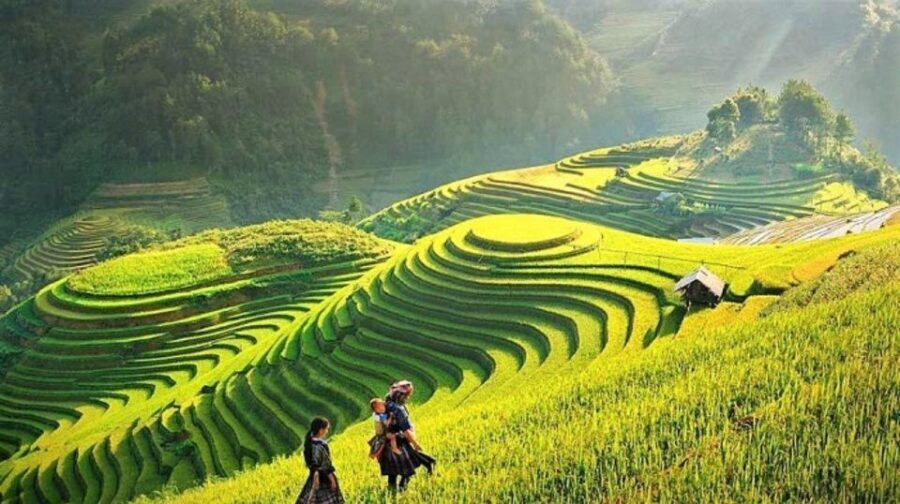 Sapa 3 Days 2 Nights Trekking Tour - A Deep Dive into the Sapa 3-Day Trekking Tour