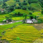 Sapa beautiful rice field, village - Easy walking kid,senior - In-Depth Breakdown of the Itinerary