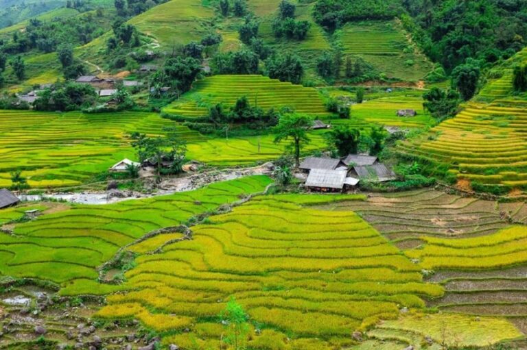 Sapa beautiful rice field, village - Easy walking kid,senior - In-Depth Breakdown of the Itinerary