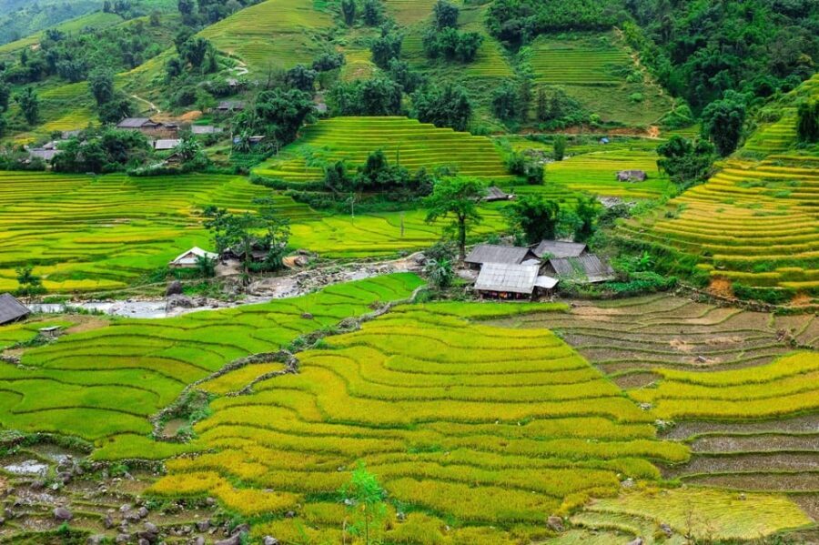Sapa beautiful rice field, village - Easy walking kid,senior - In-Depth Breakdown of the Itinerary