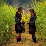 Sapa Cat Cat Village And Y Linh Ho Private Trekking Tour - Why You Should Consider This Tour