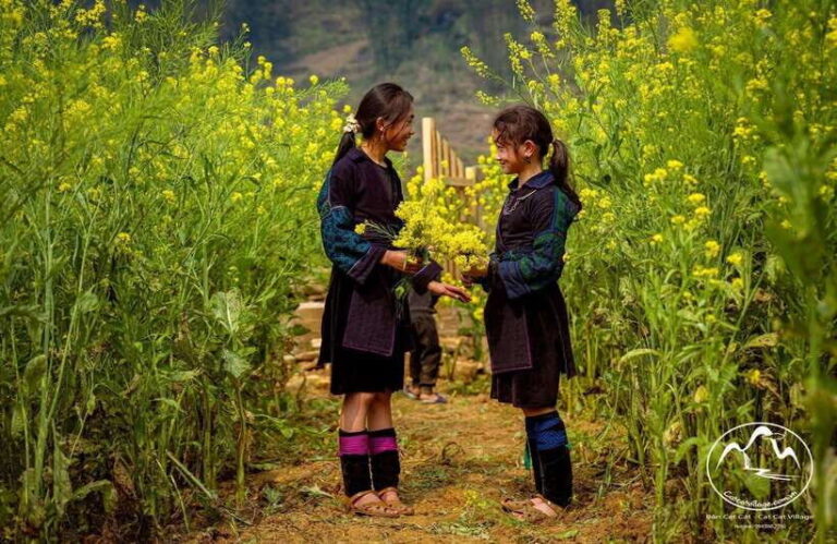 Sapa Cat Cat Village And Y Linh Ho Private Trekking Tour - Why You Should Consider This Tour