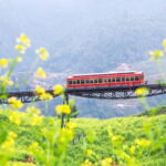 Sapa: Fansipan Cable, Cat Cat Village, Moana Instagram Tour - Practical Aspects and Value