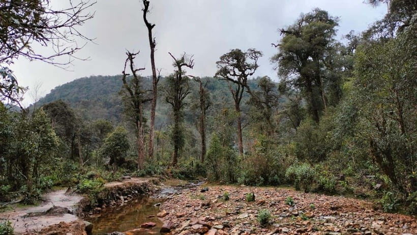 Sapa: Fansipan Mountain 2-Day Trekking Tour - An In-Depth Look at the Fansipan Trekking Tour