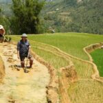 Sapa hard trekking villages and homestay 2 days 1 night trip - Who Would Love This Tour?