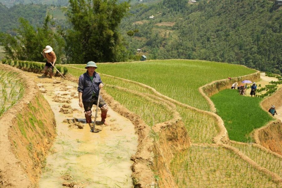 Sapa hard trekking villages and homestay 2 days 1 night trip - Who Would Love This Tour?