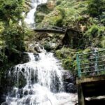 Sapa Hoang Lien National Park & Tribal Village Trek Private - Whats Included and What to Consider