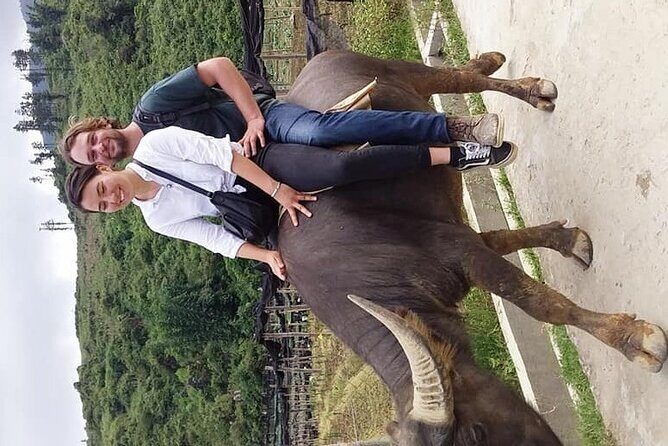 Sapa private: One day of funny Buffalo Ride & Trekking Tour - FAQ
