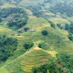 Sapa The Hidden Trail Trek 1 Day - Mountain & Rice Valley - What Travelers Say: Authentic Perspectives