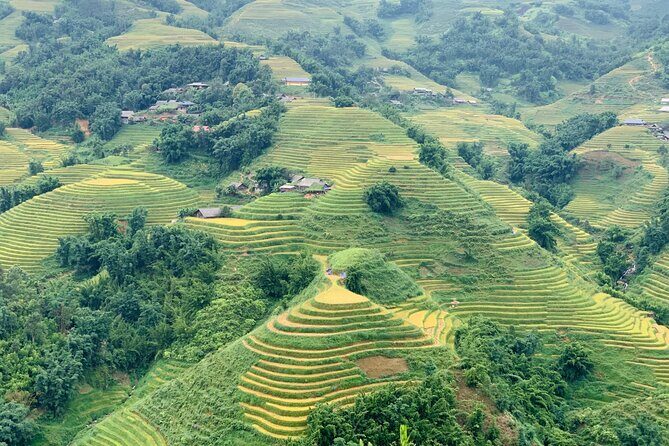 Sapa The Hidden Trail Trek 1 Day - Mountain & Rice Valley - What Travelers Say: Authentic Perspectives