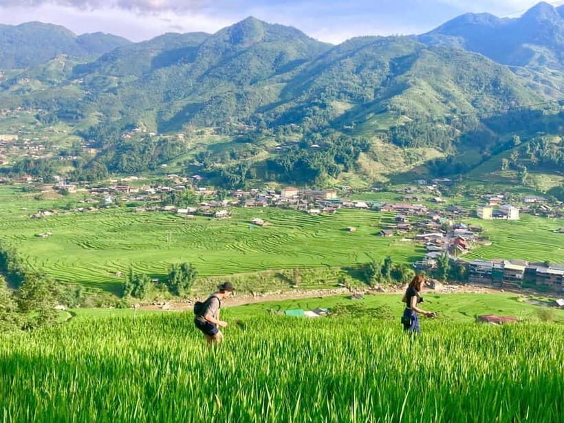 Sapa Trekking Discover Terraced Fields & Ethnic Villages - A Deep Dive into the Sapa Trekking Experience