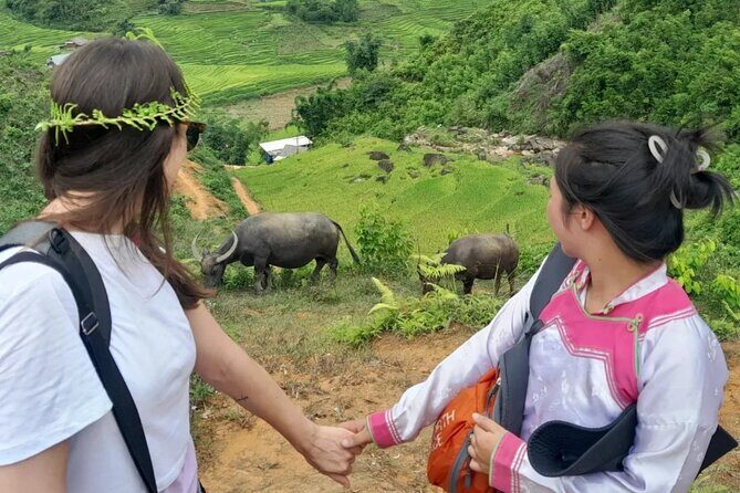 Sapa trekking - Homestay 2Days - In-Depth Review of the Sapa Homestay Trekking Tour