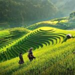 Sapa Trekking Tour 2 Days 1 Night By Bus - A Deep Dive into the Sapa Trekking Tour Experience