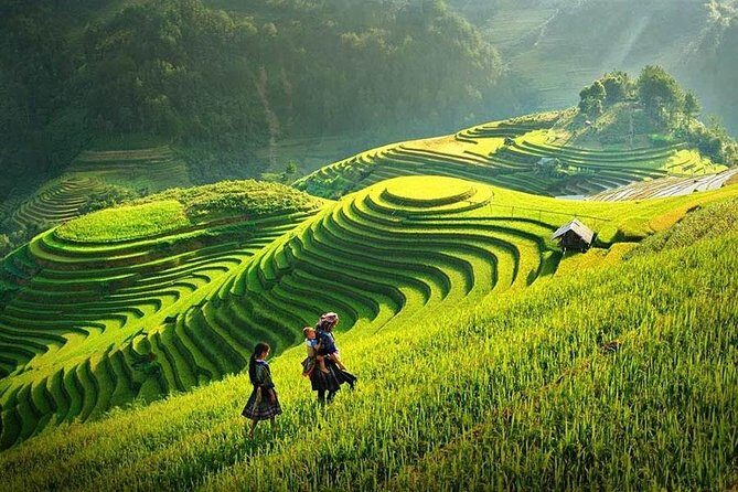Sapa Trekking Tour 2 Days 1 Night By Bus - A Deep Dive into the Sapa Trekking Tour Experience