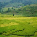 Sapa Trip to Y Linh Ho - Lao Chai - Ta Van - Cat Cat Village - Key Points