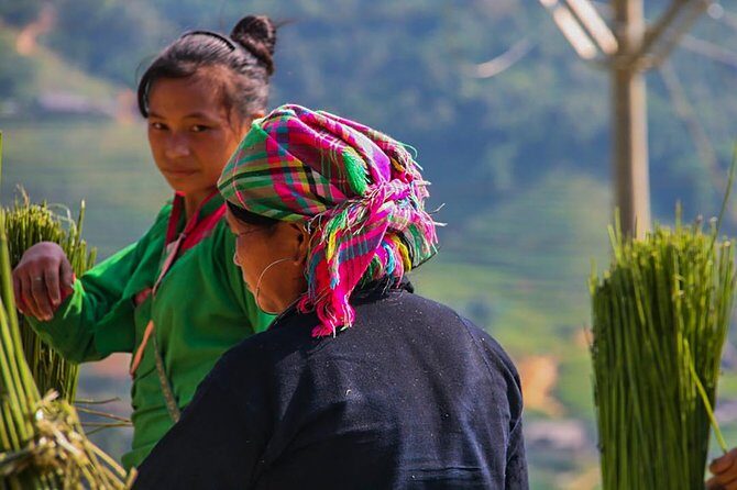 Sapa Valley Trek and Homestay - 3D2N - A Deep Dive into the Sapa Valley Trek and Homestay Experience