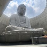 Sapporo: Buddha Hill, TV Tower, and Sake Stand Bar Tour - What Does This Tour Offer in Terms of Value?
