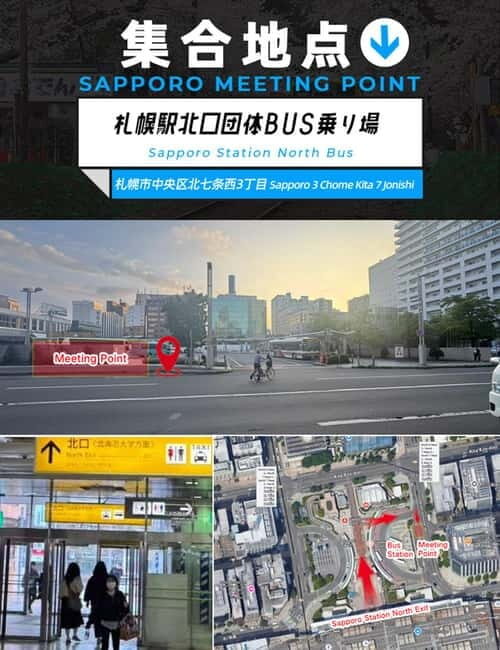 Sapporo: Furano Flower Sea & Biei Blue Pond Tour w/ Pickup - Authentic Experiences and Real Traveler Feedback