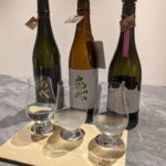 Sapporo: Hidden Bars and Local Flavors Guided Night Tour - Breaking Down the Itinerary: Detailed Look