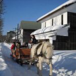 Sapporo: Historical Village of Hokkaido Entry Ticket - Who Will Love This Experience?