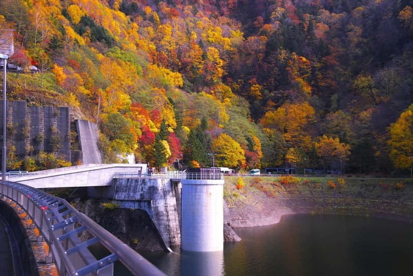 Sapporo in Autumn: Hoheikyo Dam and Hoheikyo Onsen Tour - Who This Tour Is Perfect For