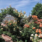 Sapporo: Private Customized Day Tour in Sappro City - A Practical Look at the Sapporo Private Day Tour