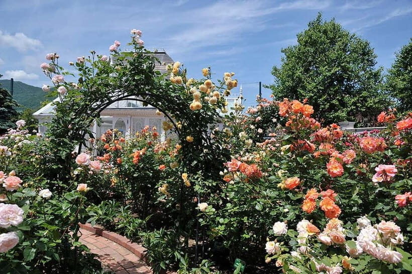 Sapporo: Private Customized Day Tour in Sappro City - A Practical Look at the Sapporo Private Day Tour