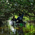 Sarasota Clear Kayak Tour - Frequently Asked Questions