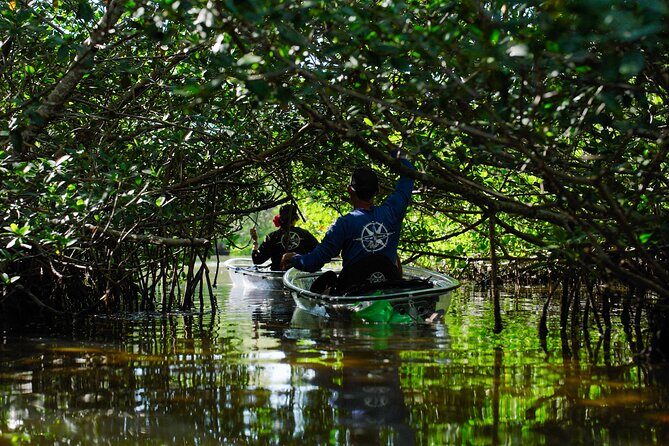 Sarasota Clear Kayak Tour - Frequently Asked Questions