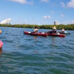 Sarasota Guided Mangrove Tunnel Kayak Tour - Why This Tour Is Worth It